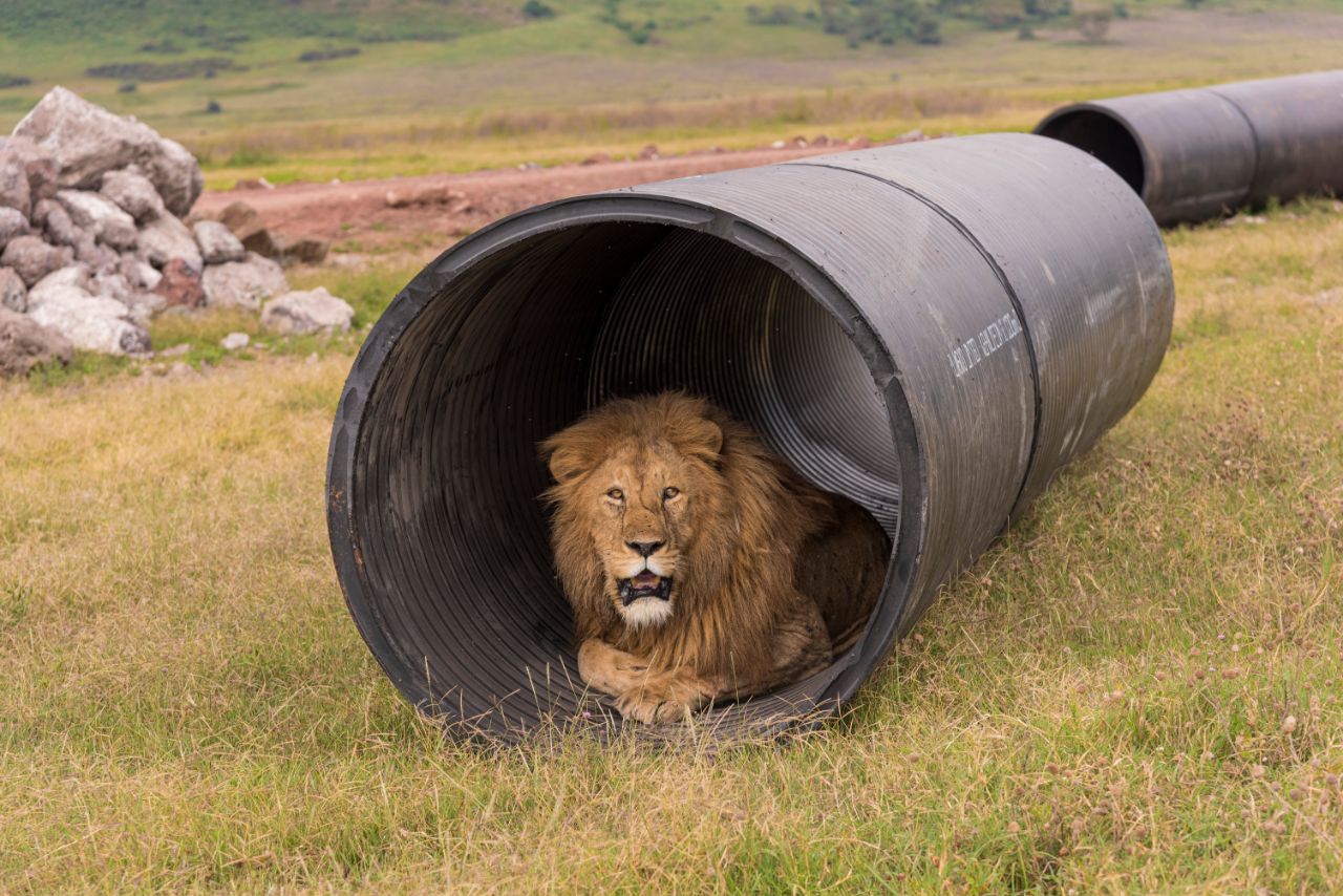 Megapipes Solutions brings sustainable sanitation to Kenya